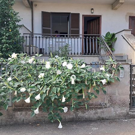 A Casa Ida Lägenhet Bagnoregio Exteriör bild