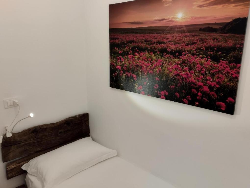 A Casa Ida Lägenhet Bagnoregio Exteriör bild